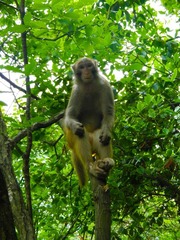 DSCN0208.JPG