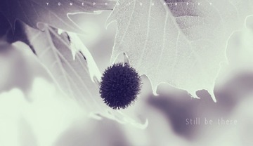 psb44QXITOC