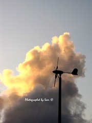 IMG_0004