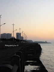 IMG_0008