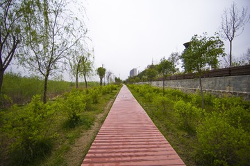 LXK_0012