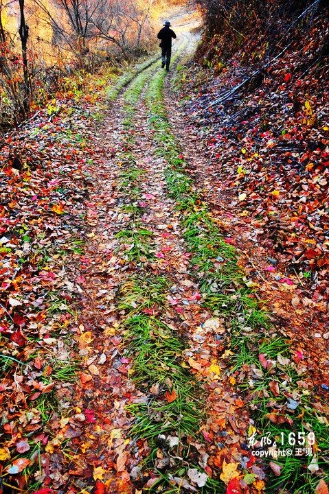 秋の路<br />
