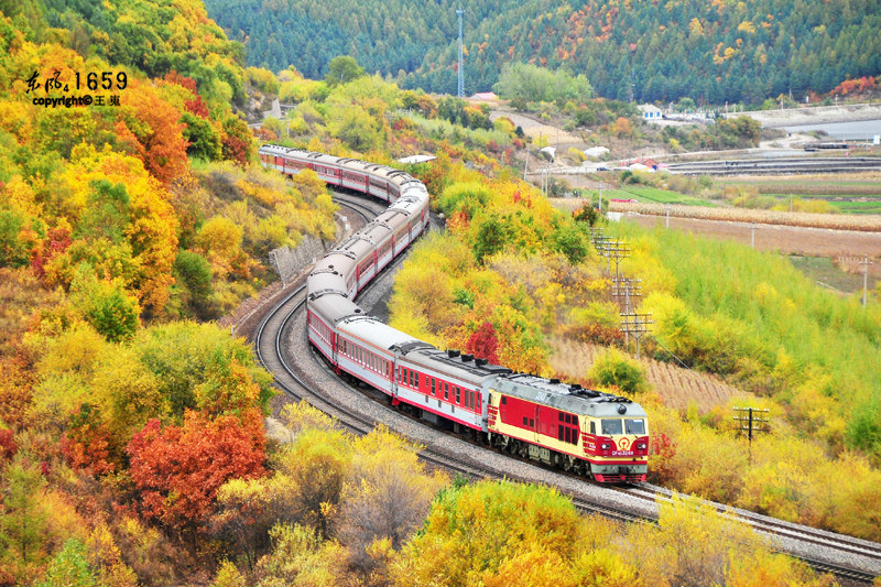 俯拍火车 - 俯拍火车 - 王嵬 - 编辑推荐 - 图虫摄影网