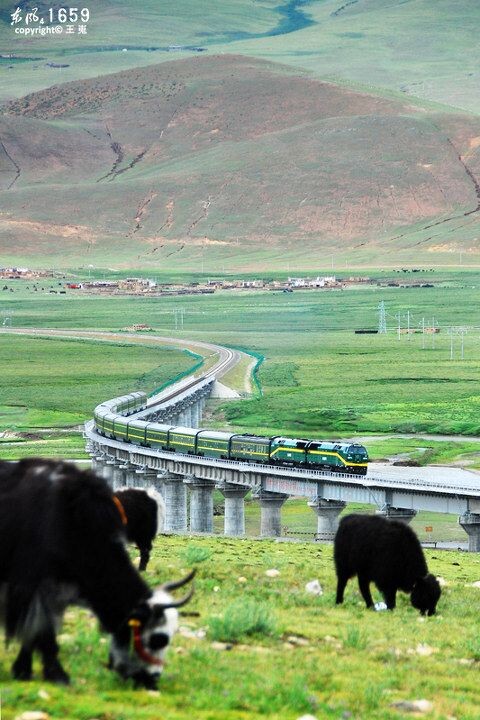 青藏铁路格拉段图片