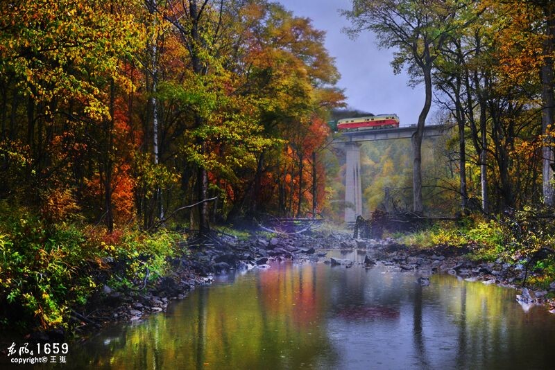 在我眼中，长白山比大、小兴安岭的秋色要璀璨的多，当然，如果图片主题不是火车，这抹秋色也会索然无味...