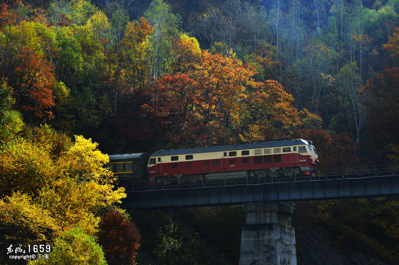 在我眼中，长白山比大、小兴安岭的秋色要璀璨的多，当然，如果图片主题不是火车，这抹秋色也会索然无味...
