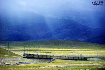 DSC_6906.jpg