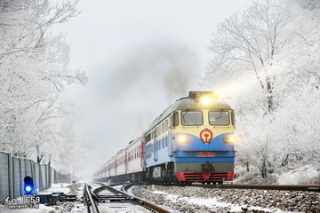 DSC_4518.jpg