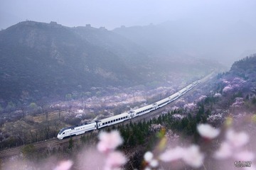 DSC_6993.jpg