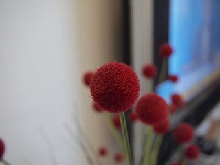 P5230048