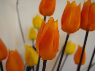 P5230067