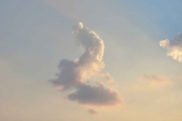 DSC_7618传.jpg