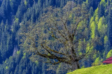 DSC_7901c.jpg