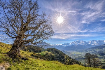 DSC_7914c.jpg