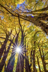 DSC_7940c.jpg