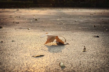 DSC_8439.jpg