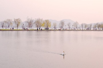 DSC_8484.jpg