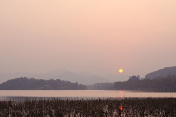DSC_8508.jpg