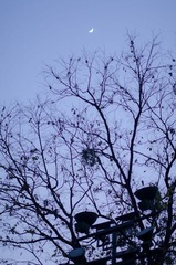 DSC_8529.jpg