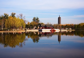 19556