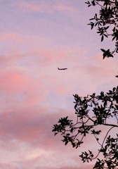 3B771E9C-25C7-407C-BBC7-FF27C9A380D5/L0/001