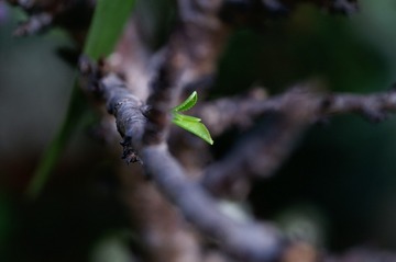 PICT0021_