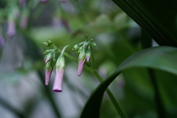 PICT0022
