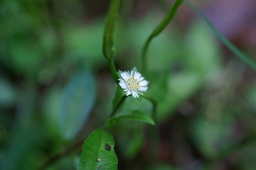 PICT0057