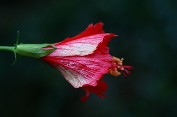 PICT0080