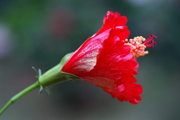 PICT0084