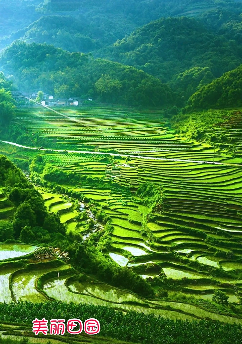 美丽田园