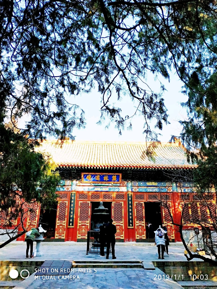 北京卧佛寺,也叫十方普觉寺,位于北京市西山北的寿牛山南麓,香山东侧