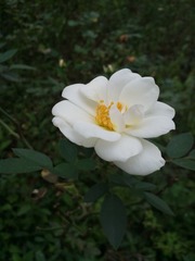 IMG_20141012_155628