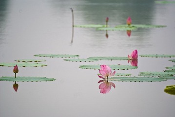 DSC01169-1