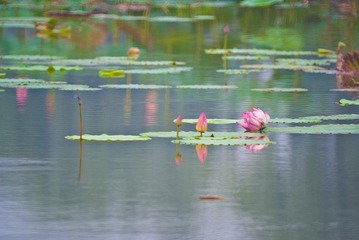 DSC01182-1