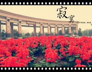 芜湖鸠兹广场