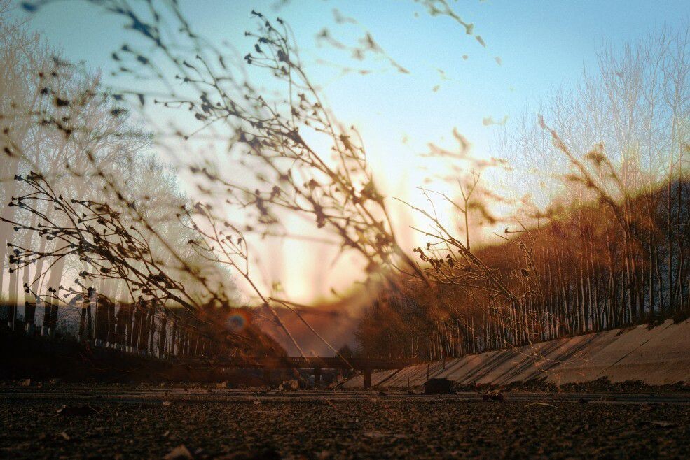 干枯的河道