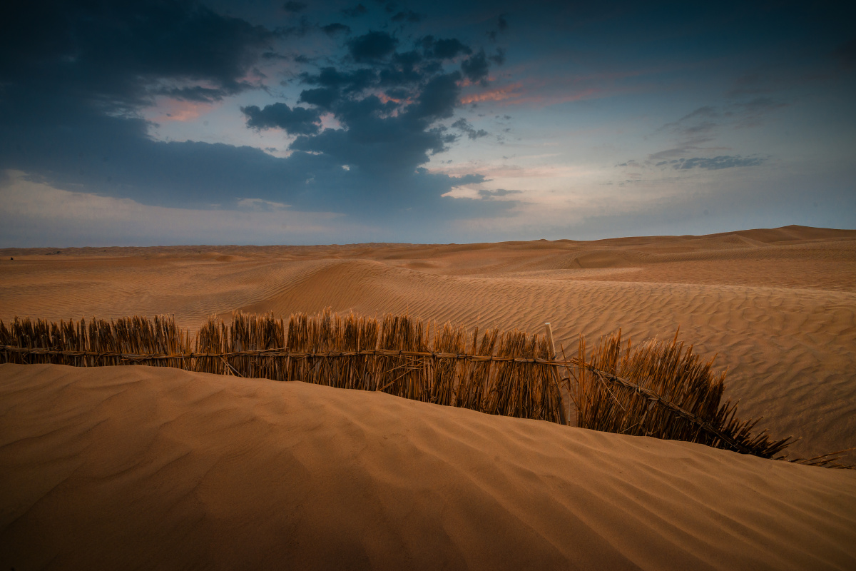 塔克拉玛干沙漠之晨