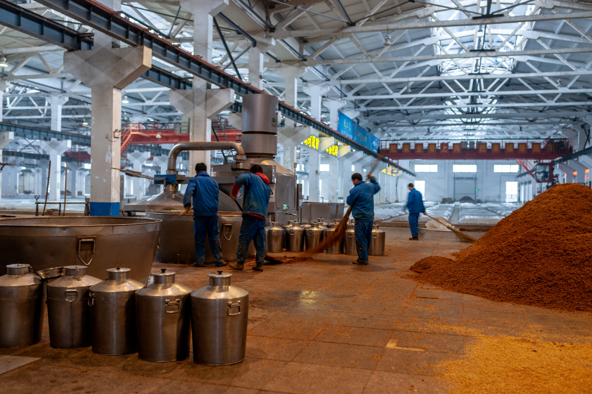 参观洋河酒厂股份有限公司 - 故乡的云 - 图虫