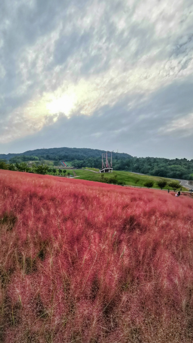 句容芝樱小镇风光
