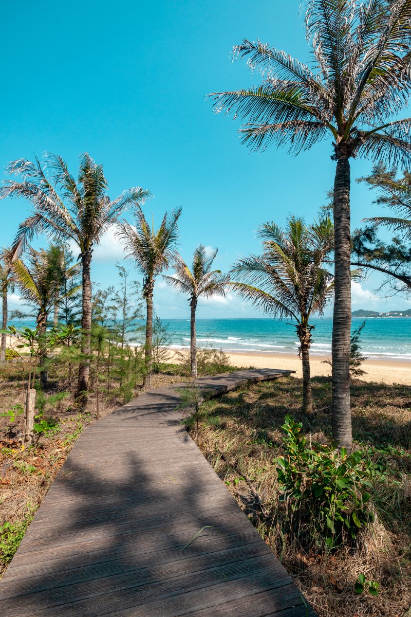 800_1200竖版 竖屏