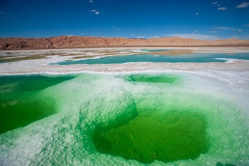 _DSC5993-1