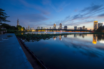 _DSC3910