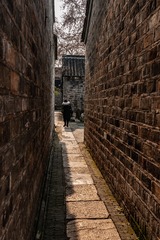_DSC6867