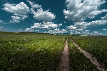 _DSC3730