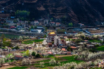 _DSC3088