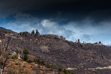_DSC2894