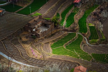 _DSC3091-1
