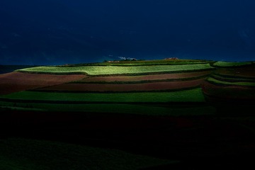 红土地-9