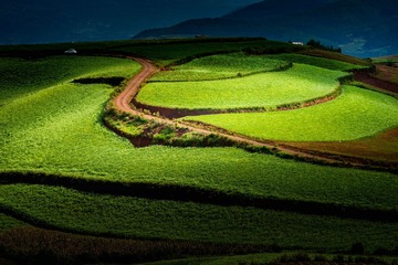 红土地-11